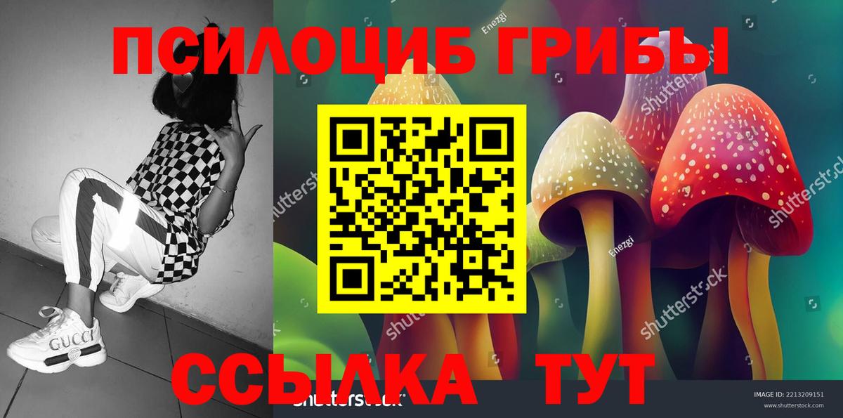Кондопога  ГАШ  Вход с VPN  Мефедрон   A PVP СК   Гашиш  Каннабис  МДМА 