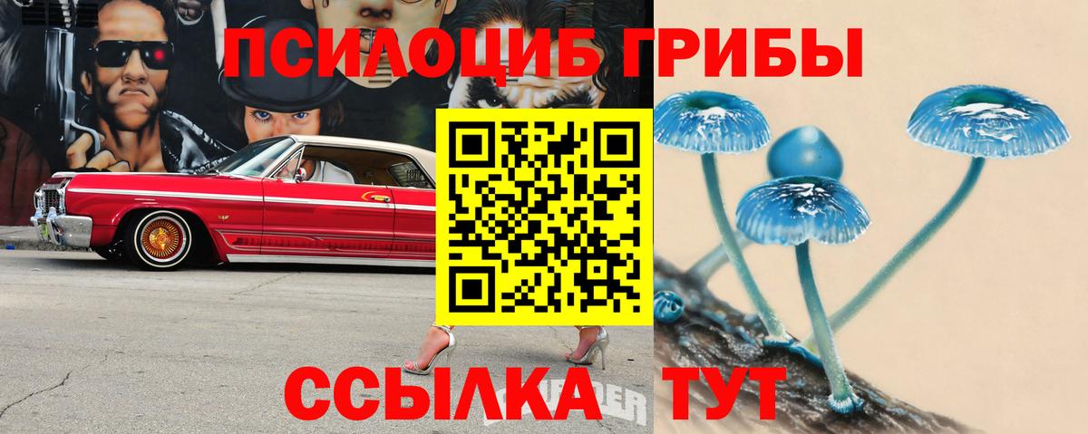 Галлюциногенные грибы мицелий  Вход с VPN  Псилоцибиновые грибы прущие грибы  Кондопога 